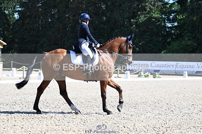 250522A-160922-04846 - C-229-Ellie.Healy-BALLADEER.JUST.FOR.KICKS