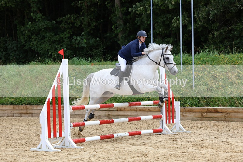 3E7A0111 - Class 9: Senior British Novice/90cm open