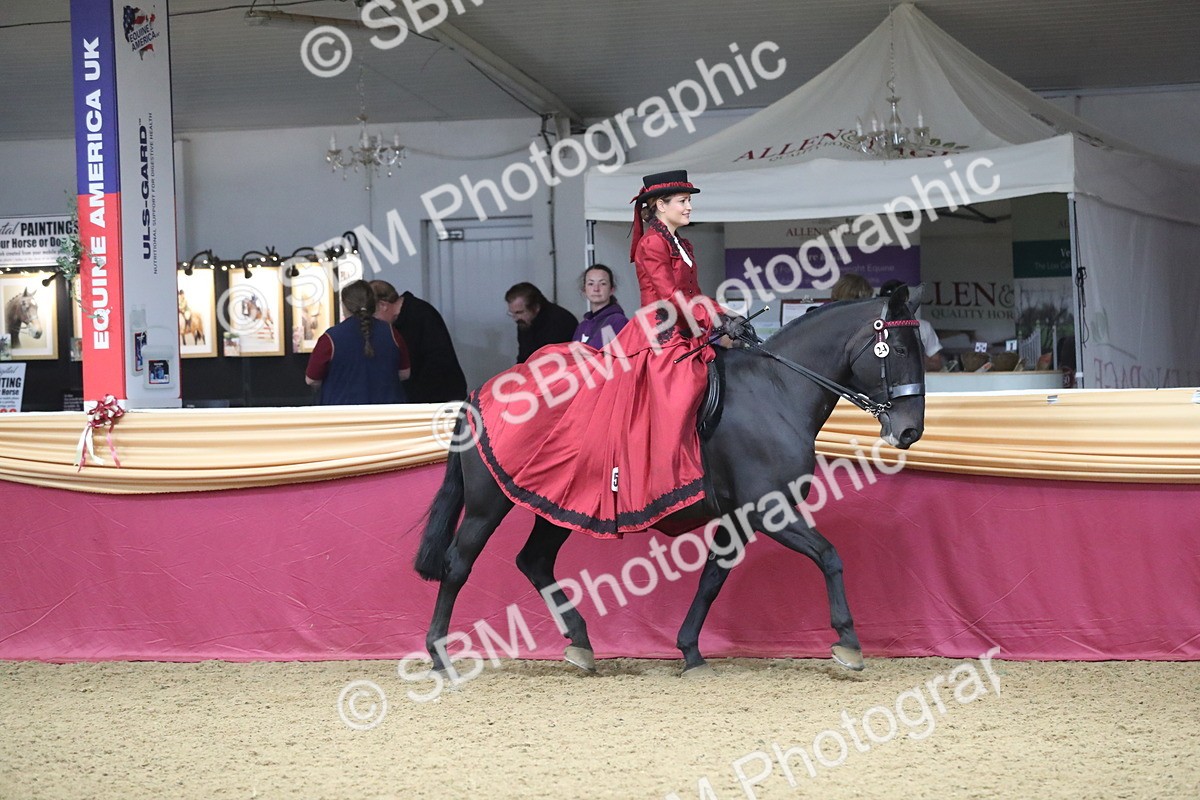 SBM_12120 - Class 107 Ridden Costume- Astride Adult (20+)