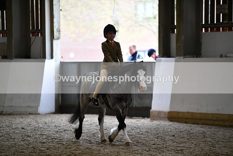 WJ5_6876 - Class 10 Childs Pony