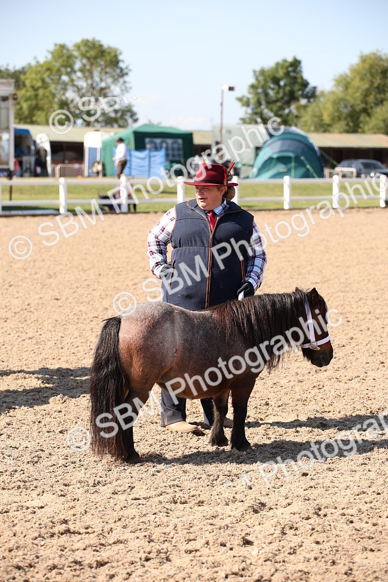 SBM_02802 - Class 16 IH M&M Wildcard