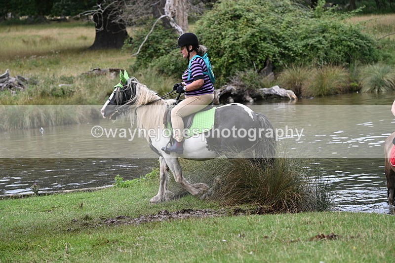 WJ7_2273 - Time at Water 11:14 to 11:36