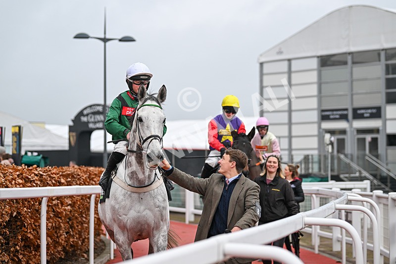 131224-Race 5-Numitor-9262 - Race 5