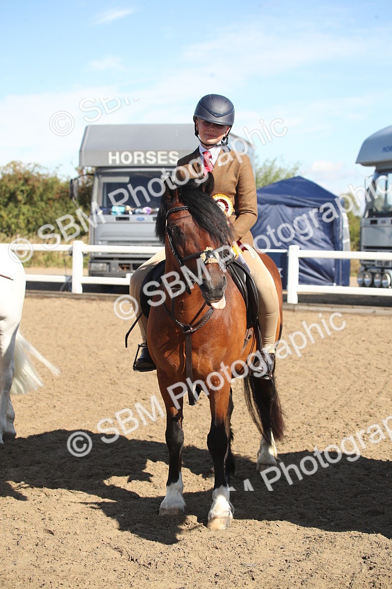 SBM_12786 - Class 504b - Junior Working Veteran - 40cm (20+)