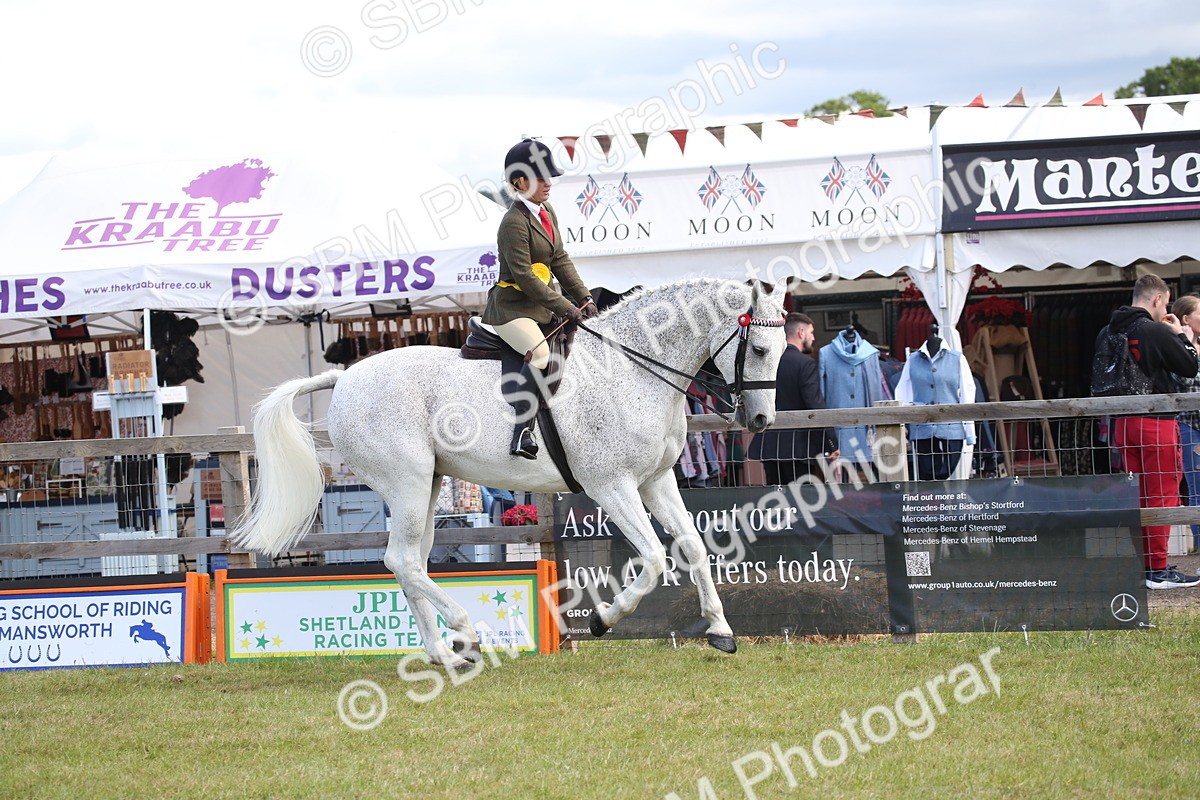 SBM_13291 - Class 95-96 - LIHS BSHA Rising Star Hack Riding Horse