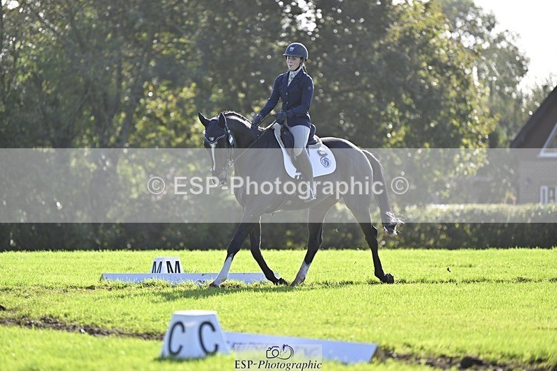 241025-111815-06825 - 365-Charlotte.Cutler-HOLY.STREET