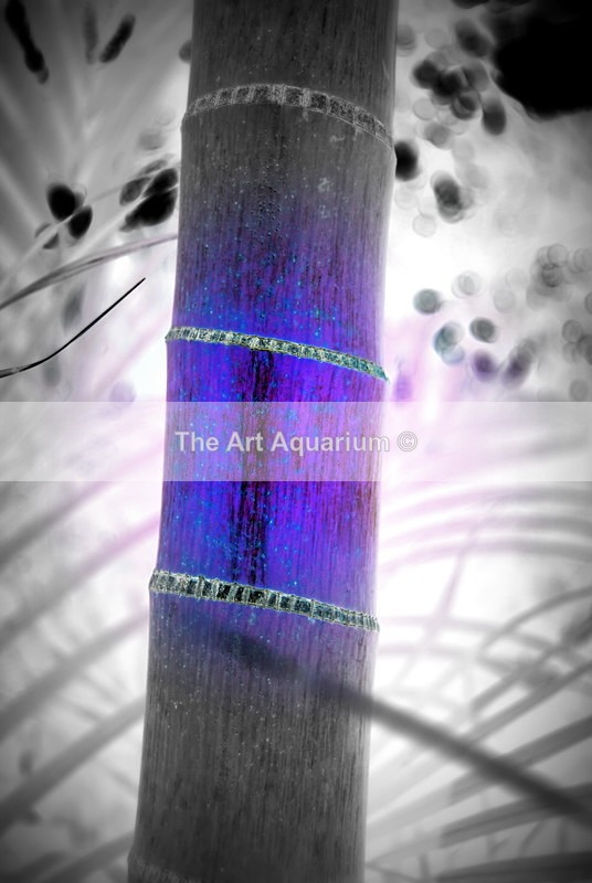 The Art Aquarium - Rachael Inchboard