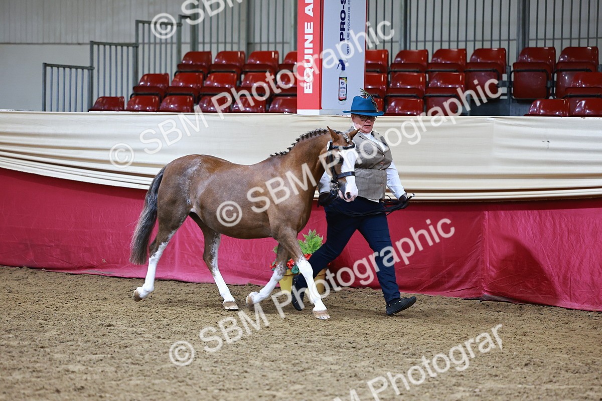 SBM_22118 - Class 902 - Supreme Final - IH Diamond