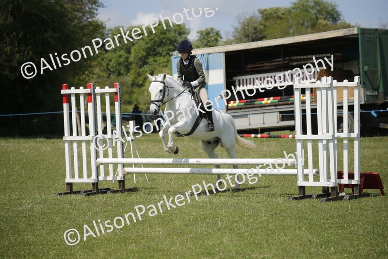 20250427-3549 - Class 14 - Absolute Novice 70cm