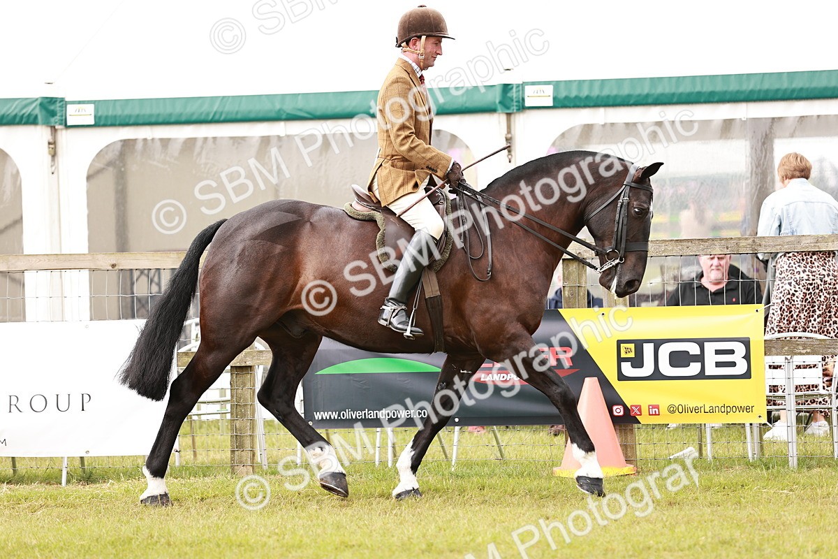 SBM_12984 - Class 85-87 - RIHS Cobs