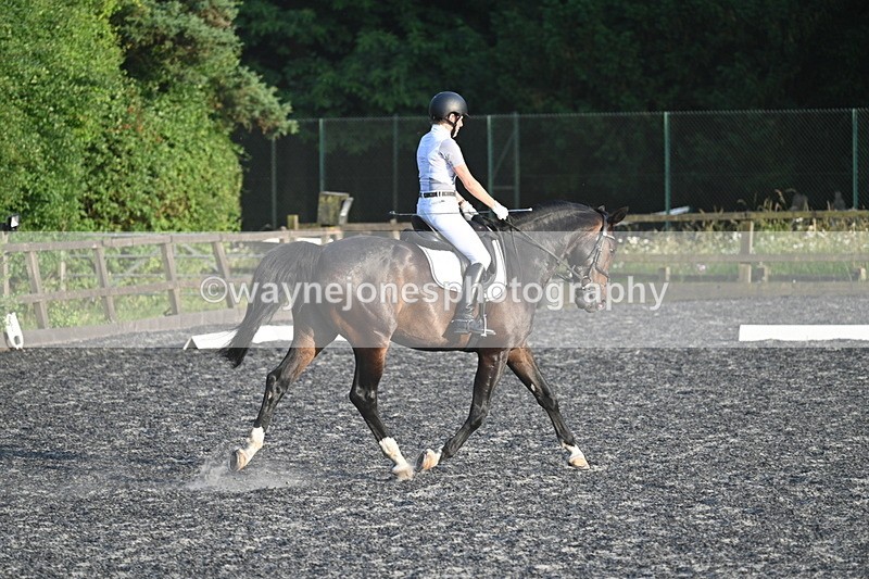WJ7_0574 - Time 19:38 to 20:00