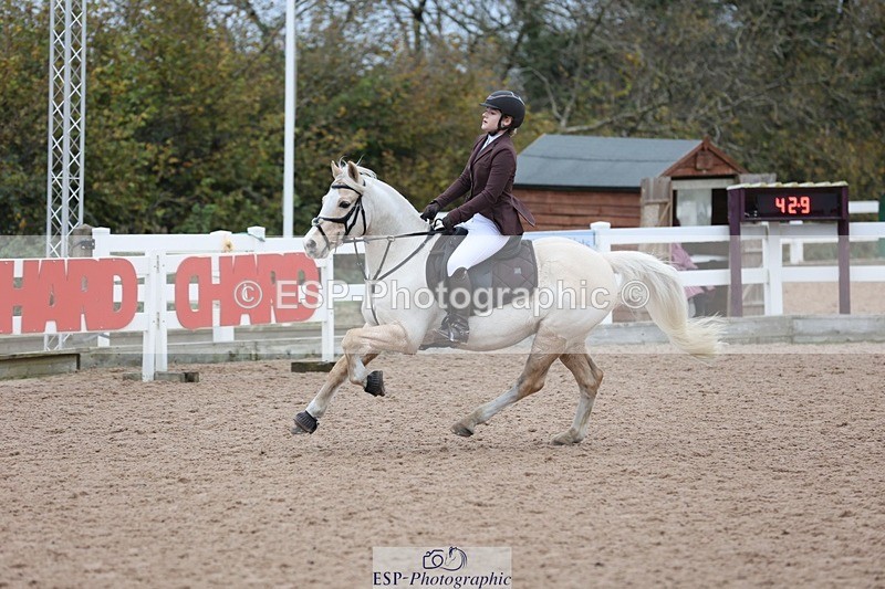 241116X-101314-00782 - Cls 08 Pony Winter Nov Champs