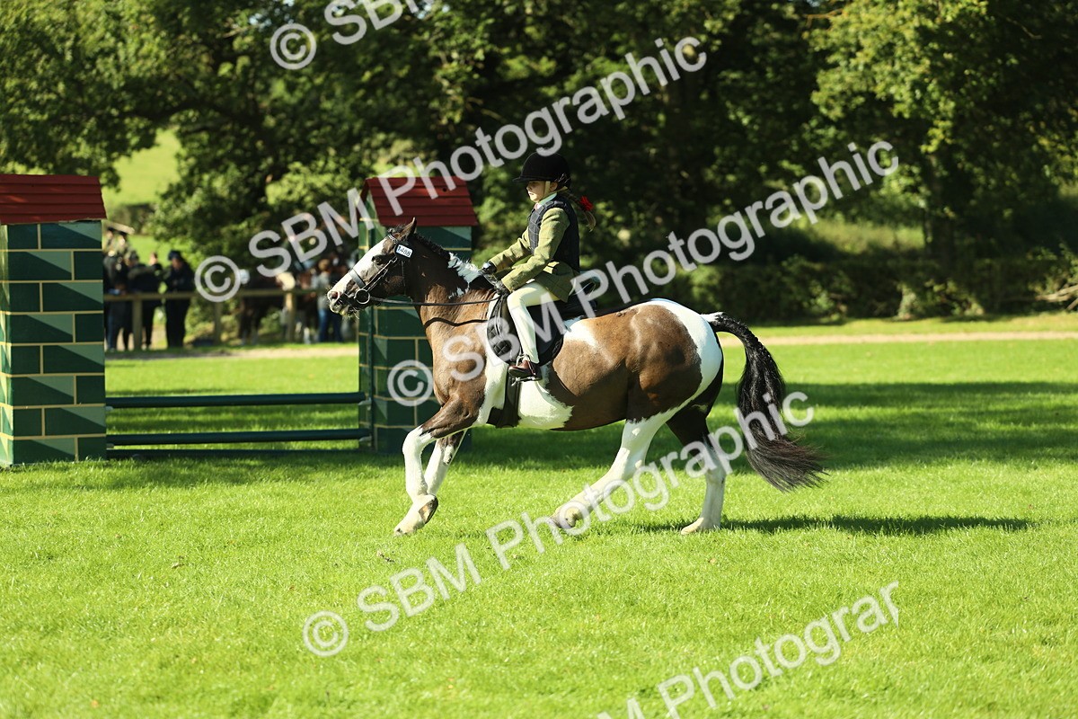SBM_36530 - S29 - Novice & Newcomers Working Hunter Pony