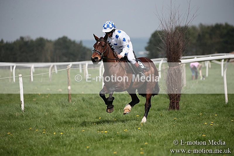 PtP 210418 50 - South & West Wilts Point-to-Point Larkhill 21/04/18