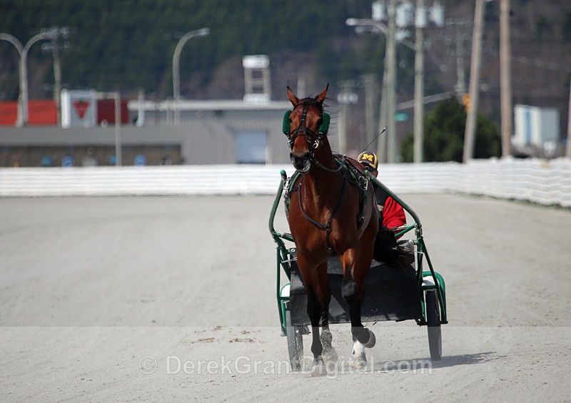 Exhibition Park Raceway Saint John New Brunswick Canada - Sport & Recreation