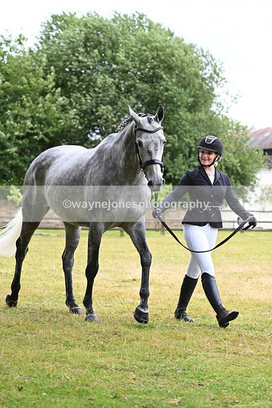 WJ7_6072 - Class 4a Prettiest Mare over 14hh