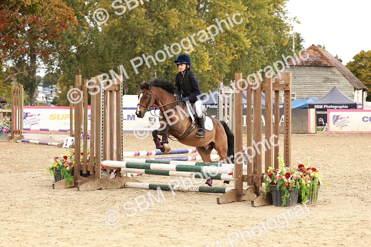 SBM_57784 - J11 - Junior Pony 50cm Championship