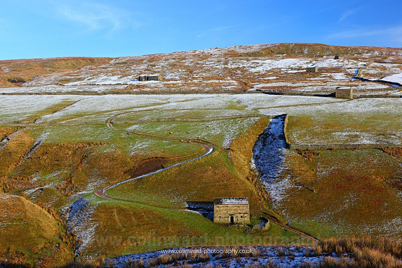 Hillside barns.  Upper Swaledale          ref 4541 - The Pennines and Cumbria