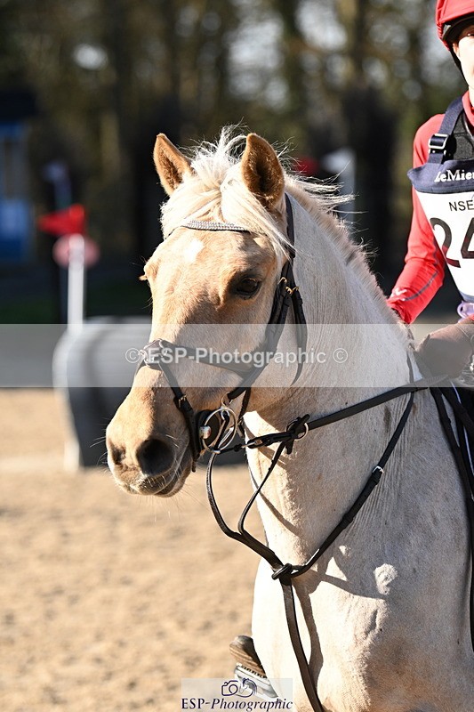 250302A-101114-01425 - Cls 01 70-75cm