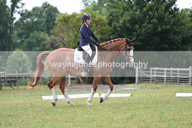 WJ7_5884 - Time 11:52 to 12:10