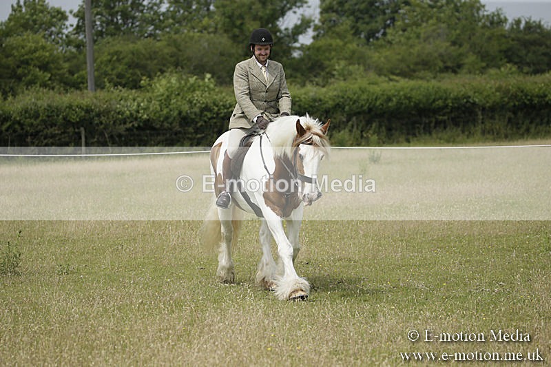 B230619-0430 - Bourne Valley Riding Club Summer Show 23/06/19