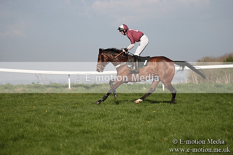 PtP 210418 583 - South & West Wilts Point-to-Point Larkhill 21/04/18