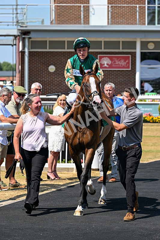 160726-Race 1-Clementines Star-3919 - Race 1 13.53pm Best Ticket Deals Online @thirskraces Book Now Restricted Maiden Fillies' Stakes