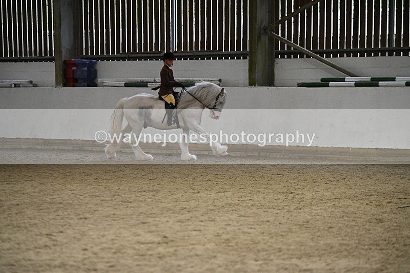 WJ7_3755 - Class 16 Ridden Coloured/ Odd Coloured