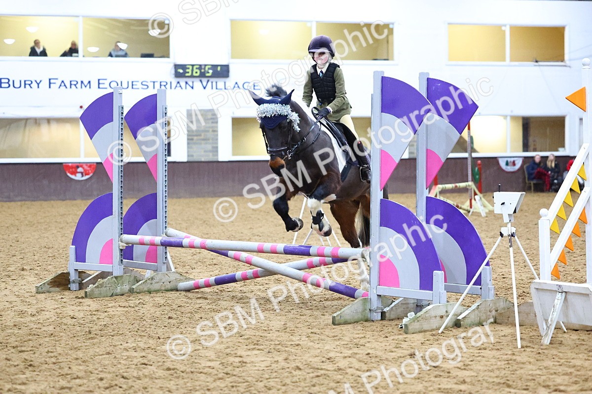 SBM_001459 - Class 3 - Christmas Tree Stakes - 60cm