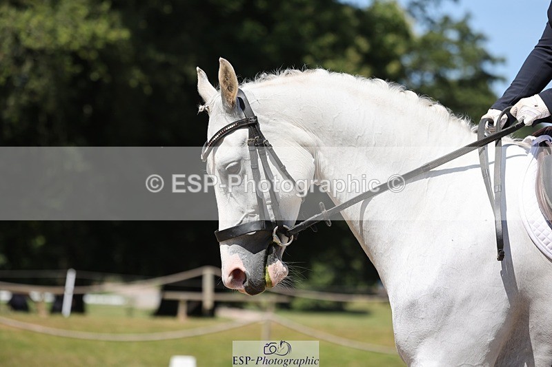 240719-114230-01472 - 156-Jessica_Perry-Silver_Secret