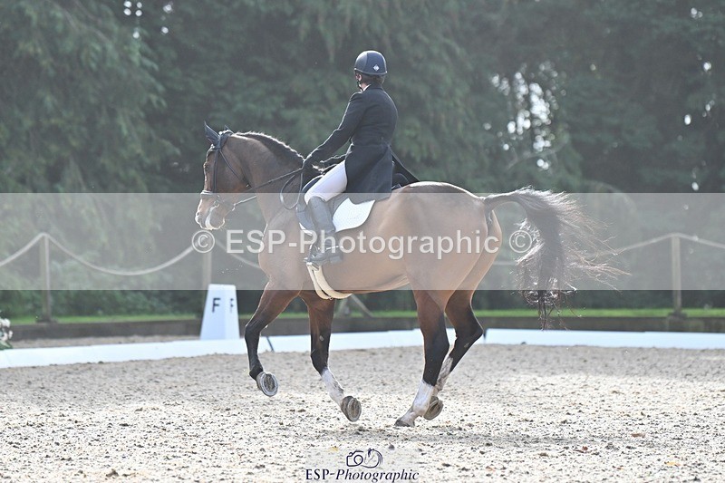 231019-110554-02039 - 105-BRIGHT.KNIGHT.III-Janet.Clarke-DR