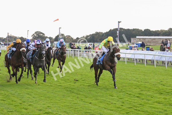 111024-Race 4-End Of Story-1810 - Race 4 3.10pm Parsonage Hotel And Cloisters Spa Nursery Handicap