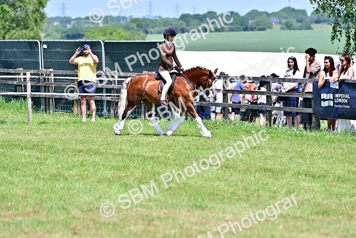 SBM_15289 - Class 95-97 - BSPS LHS Performance Ponies