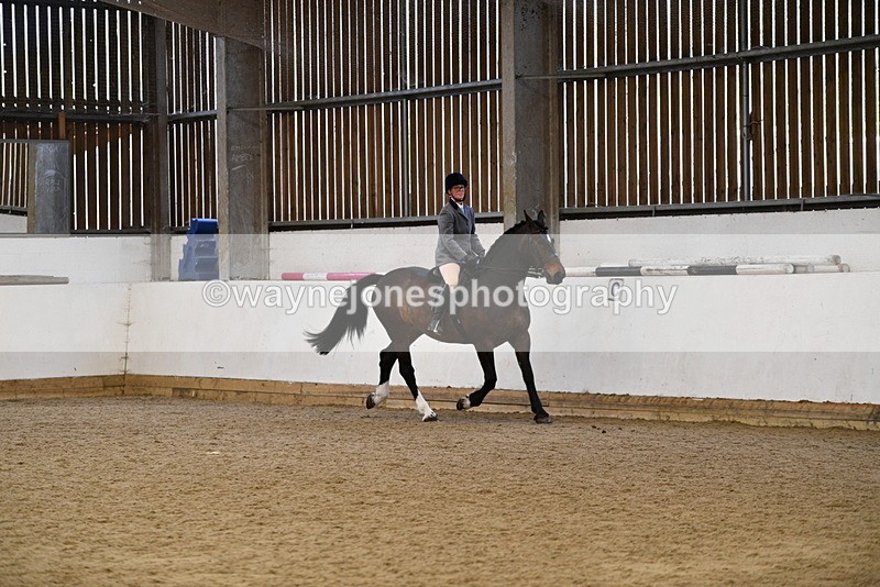 WJ5_7690 - Class 13 Ridden Part Breed
