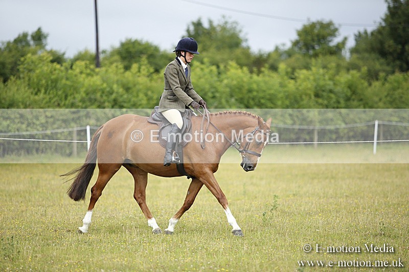 BVR160717-249 - Ring 1 BVRC Show 16/07/17