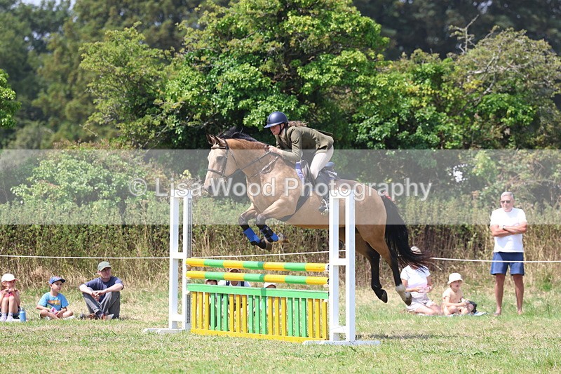 3E7A2999 - Class 7: Senior British Novice/90cm open