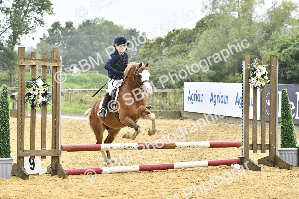 SBM_70935 - J3 - Mini Tour Junior Pony 40cm championship