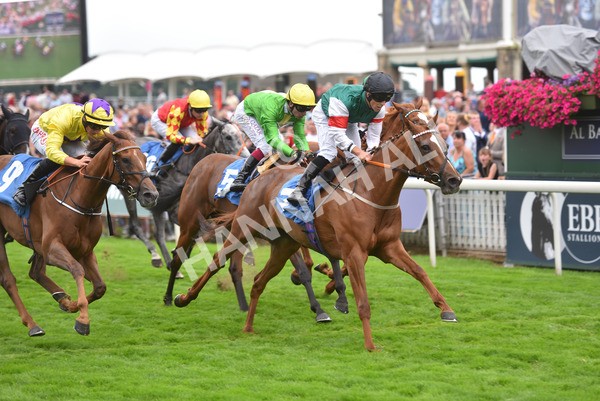 yr20082021r6-38 - Race 6 4.40pm Assured Data Protection British EBF Fillies' Stakes
