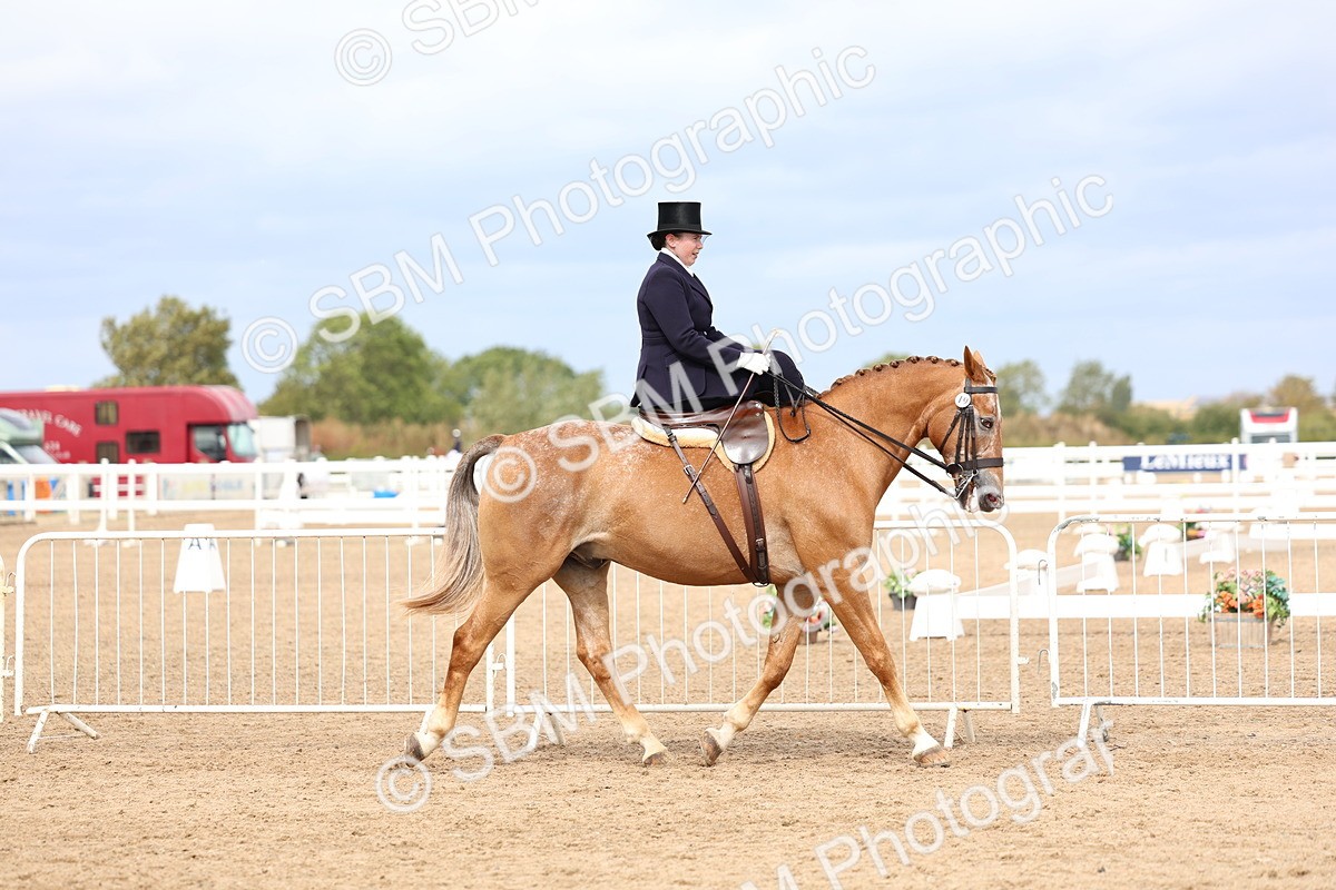 SBM_03396 - Class 24 - SSA Concours d'elegance (any age)
