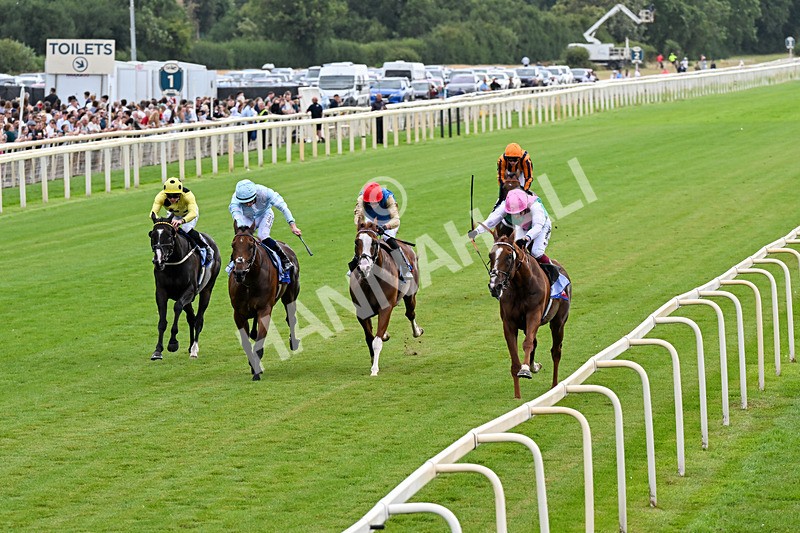 250726-Race 3-Item-0794 - Race 3 14.35pm Sky Bet York Stakes