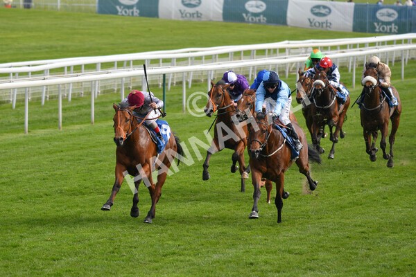 yr13052021r6-29 - Race 6 4.15pm Constant Security EBFstallions.com Maiden Stakes