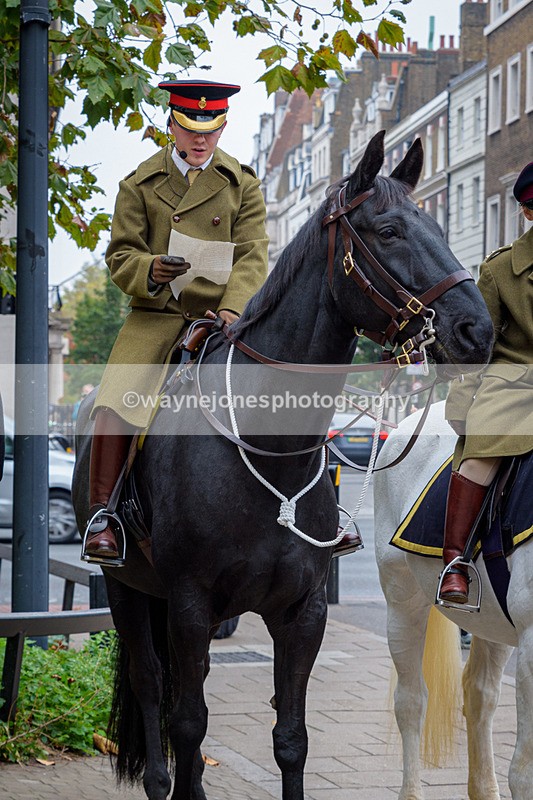 NGP_8193 - 2024 Animals in War Remembrance Gathering
