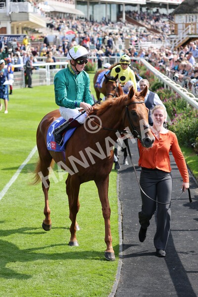 yr18082021r3-25 - Race 3 3.00pm Sky Bet Great Voltigeur Stakes