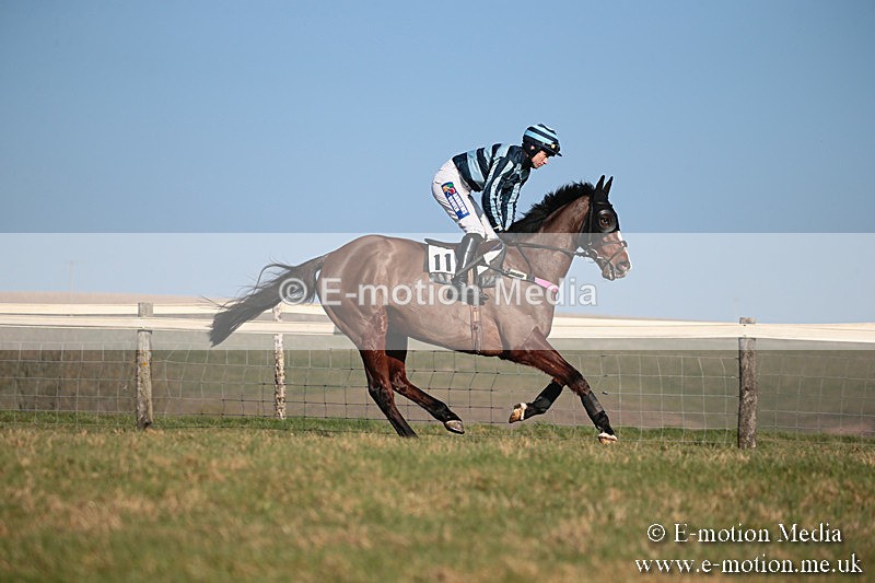 PtP 230219 401 - Vine & Craven Point-To-Point - Barbury 23/02/19