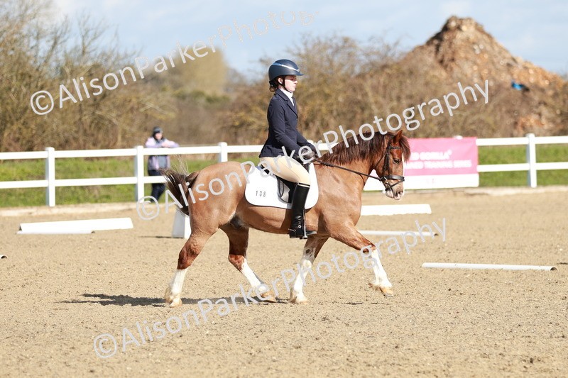 20260314-4292 - DR4 - Prelim 2