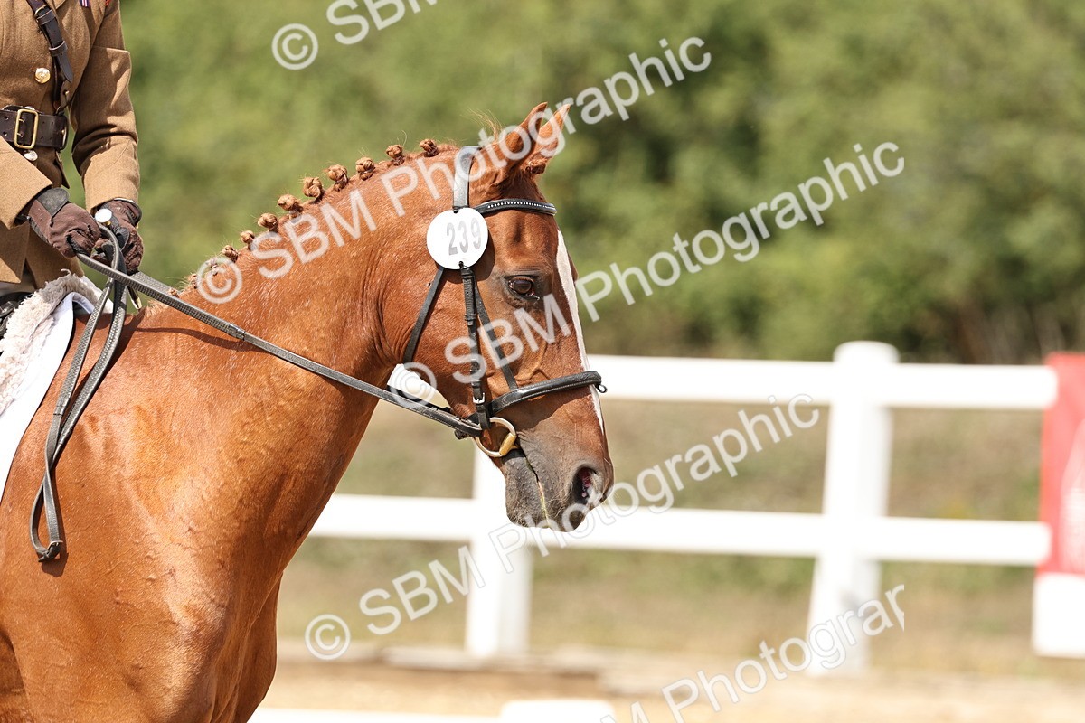 SBM_018793 - Class 16 - Novice 5 - 12.08-13.11