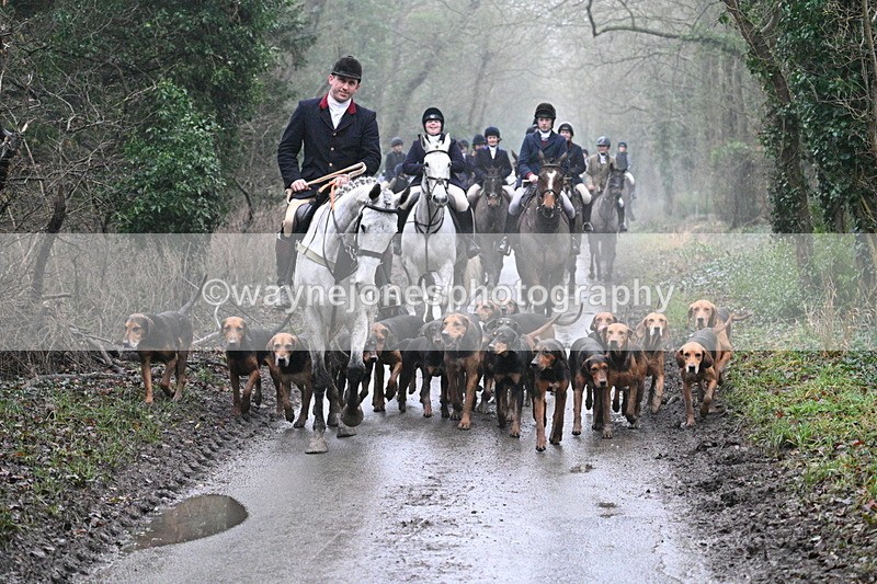 WJ7_3821 - In-between lines