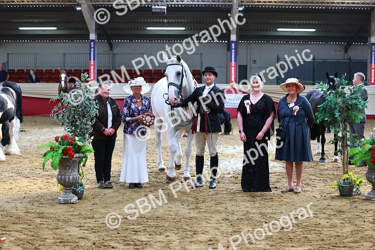 SBM_23279 - Class 903 - Supreme Final - IH Pre Vet