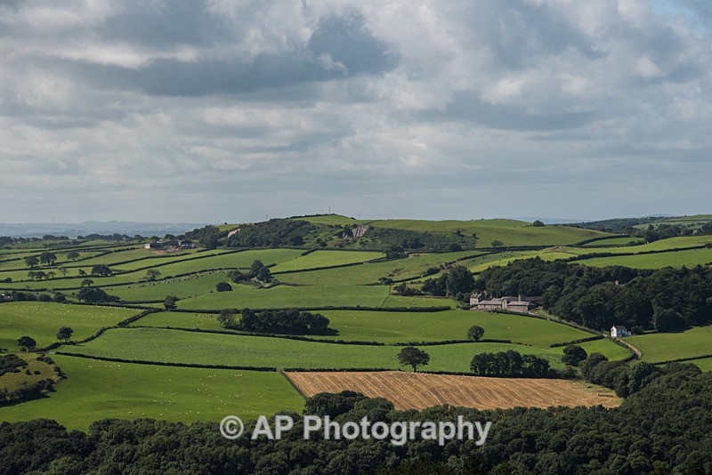 ACP_2481-1 - Rural Views