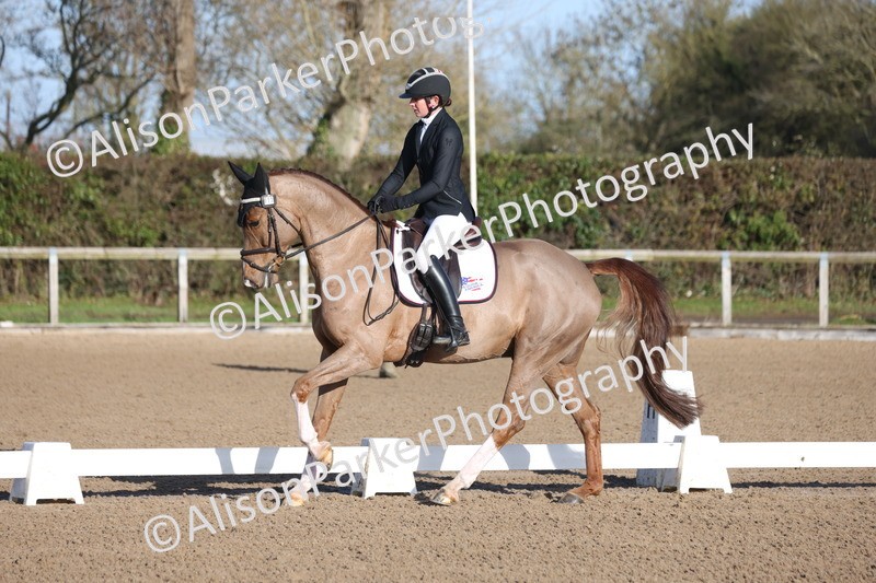 20260128-0176 - Class 3 - Novice 4